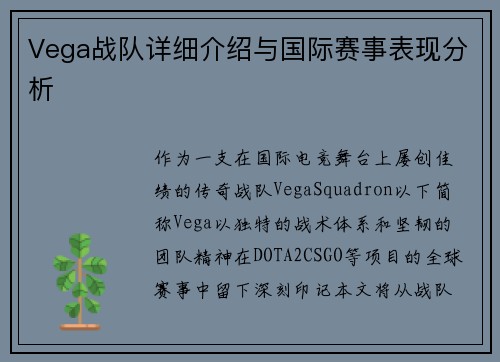 Vega战队详细介绍与国际赛事表现分析
